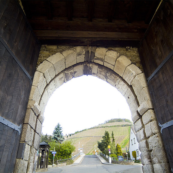 Ahrweiler, Adenbachtor, Weinberge, Stadtmauer, Ahrtal