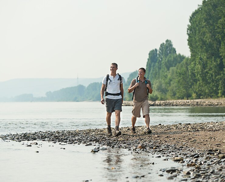 Ahrmündung, Ahr, Rhein, Holzbrücke, Ahrtal, Mittelrheintal, Sinzig, AhrSteig, Ahrradweg