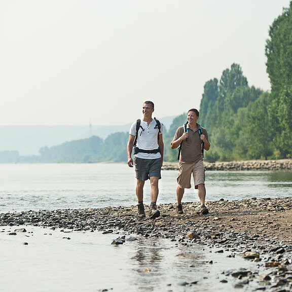 Ahrmündung, Ahr, Rhein, Holzbrücke, Ahrtal, Mittelrheintal, Sinzig, AhrSteig, Ahrradweg