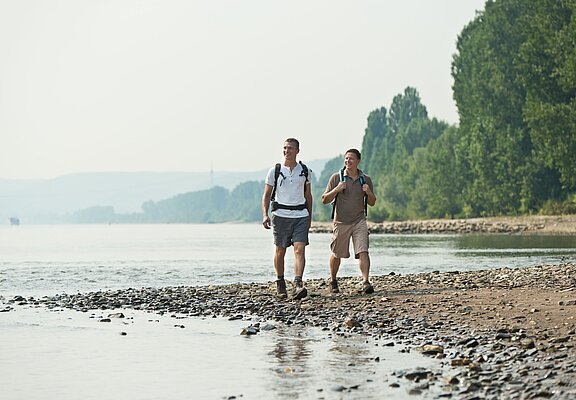 Ahrmündung, Ahr, Rhein, Holzbrücke, Ahrtal, Mittelrheintal, Sinzig, AhrSteig, Ahrradweg