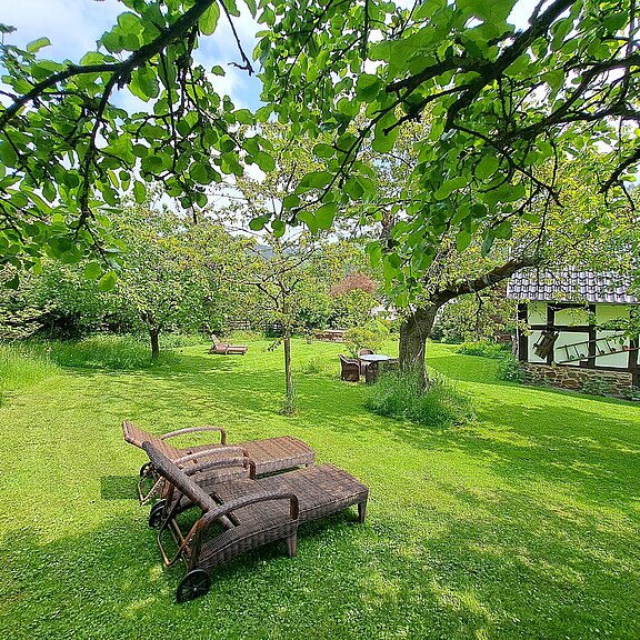 idyllischer Garten mit Obstbäumen