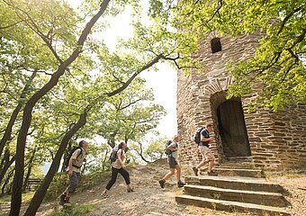Krausberg, Ahrtal, Wandern, Dernau