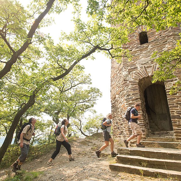 Krausberg, Ahrtal, Wandern, Dernau