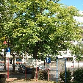 Der Kelberger Marktplatz