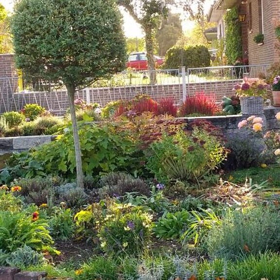 Vorgarten Karweiler Bild 2