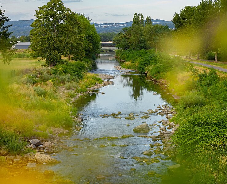 Ahr-Radweg im Sommer bei Sinzig