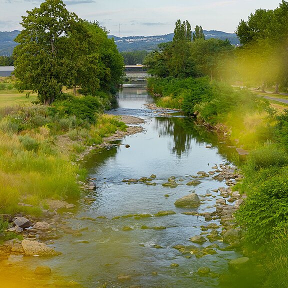 Ahr-Radweg im Sommer bei Sinzig