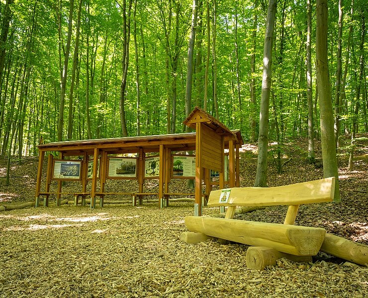 Waldentdeckerpfad Bad Neuenahr-Ahrweiler