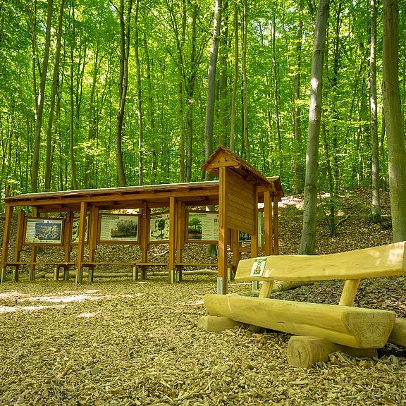 Waldentdeckerpfad Bad Neuenahr-Ahrweiler