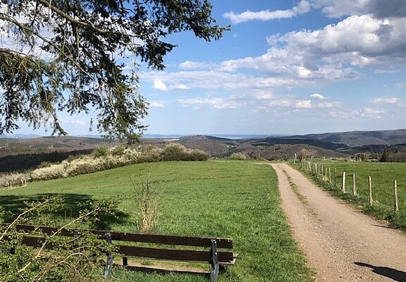 Blick vom Hasenberg über das Ahrgebirge