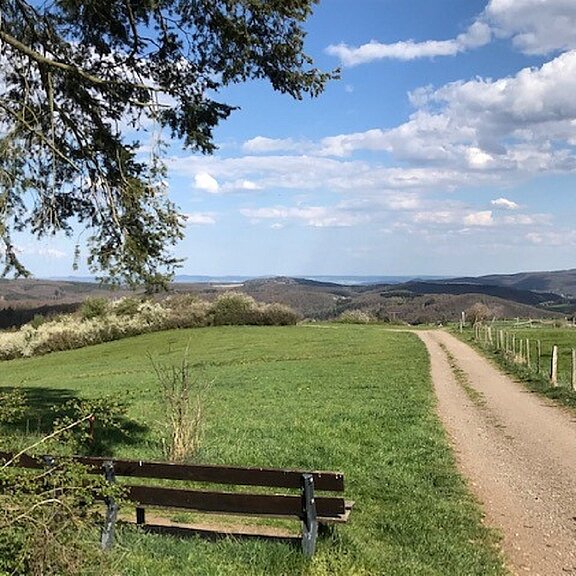Blick vom Hasenberg über das Ahrgebirge