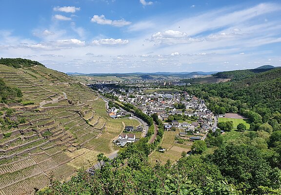 Blick auf Walporzheim