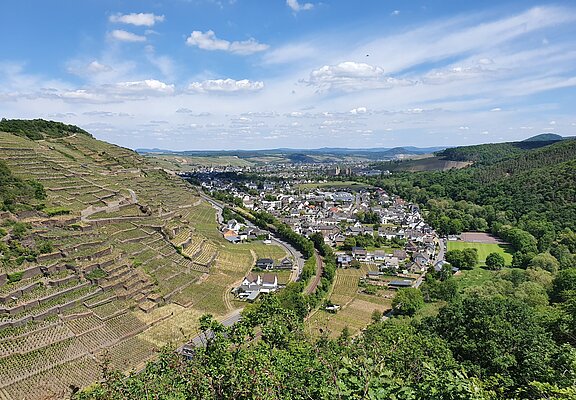 Blick auf Walporzheim