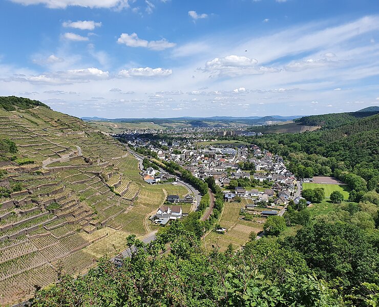 Blick auf Walporzheim