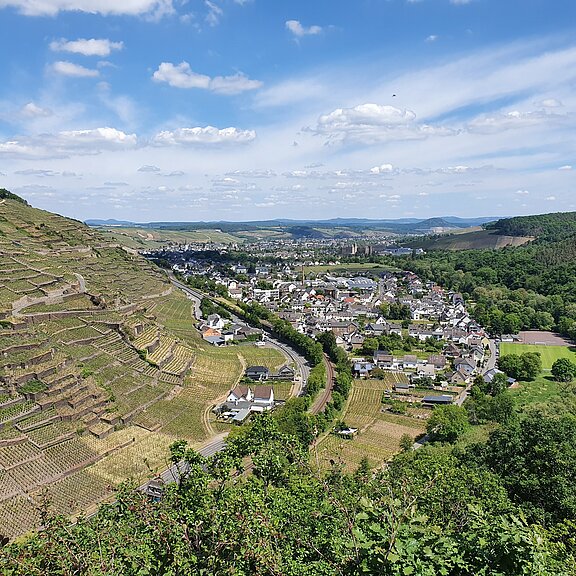 Blick auf Walporzheim
