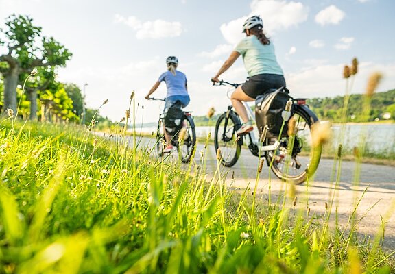 Rheinradweg bei Bad Breisig