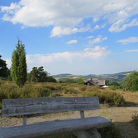 Wacholderheide bei Langscheid