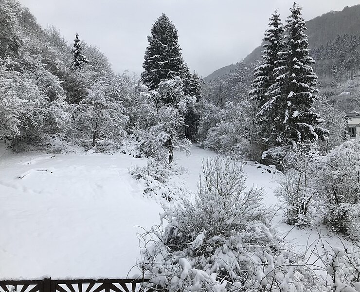 Grundstück neben dem Haus im Winter