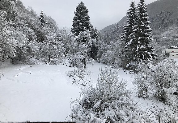 Grundstück neben dem Haus im Winter