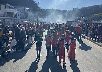 Rosenmontagszug in Altenahr-Altenburg mit Kostümen und Musik vor sonniger Kulisse im Ahrtal.
