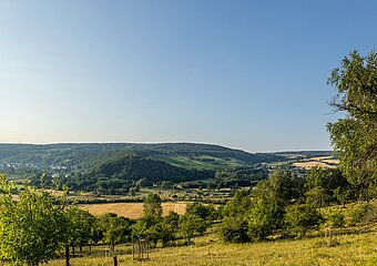 Orchideenwiese Lohrsdorf