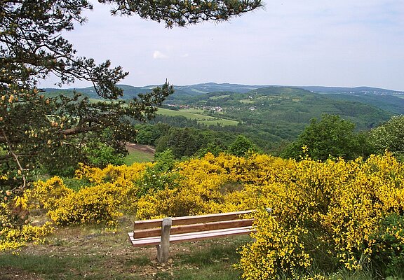 Unterwegs auf den Ahrhöhen