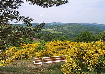 Unterwegs auf den Ahrhöhen