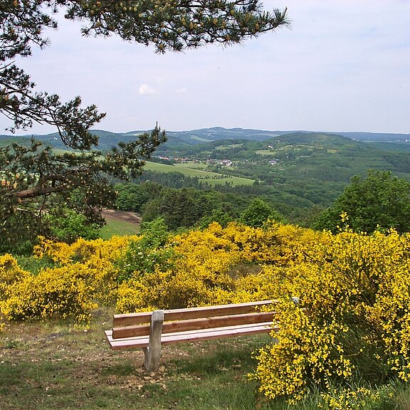 Unterwegs auf den Ahrhöhen