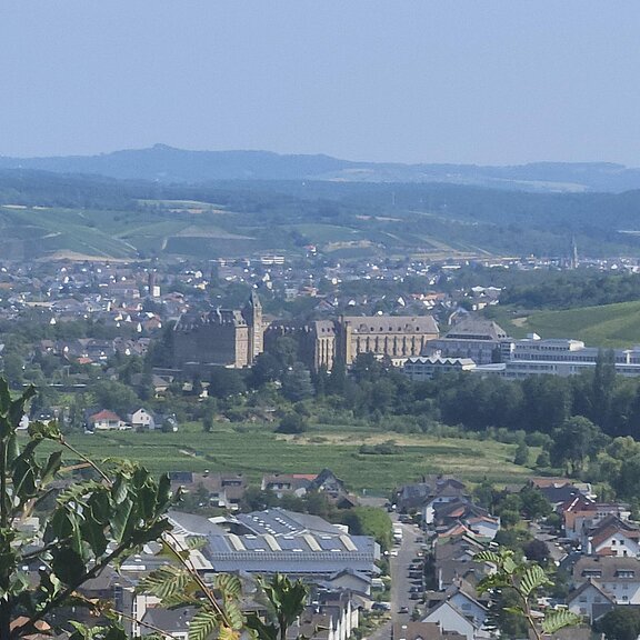 KatzleyKalvarienberg