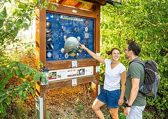 Galaxienweg Sahrbachtal