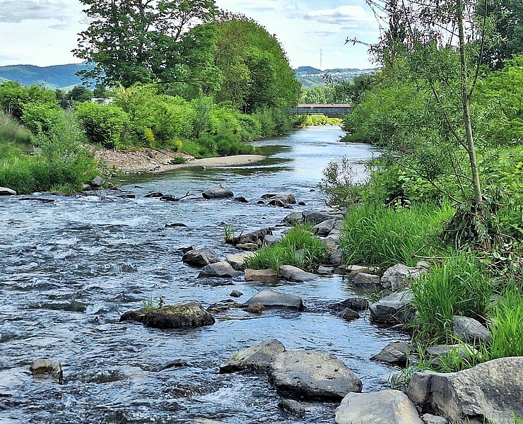 Wiesen und Felder auf dem Weg zur Ahrmündung