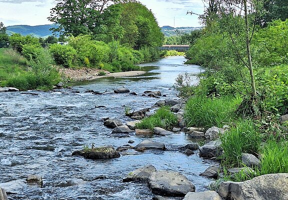 Wiesen und Felder auf dem Weg zur Ahrmündung