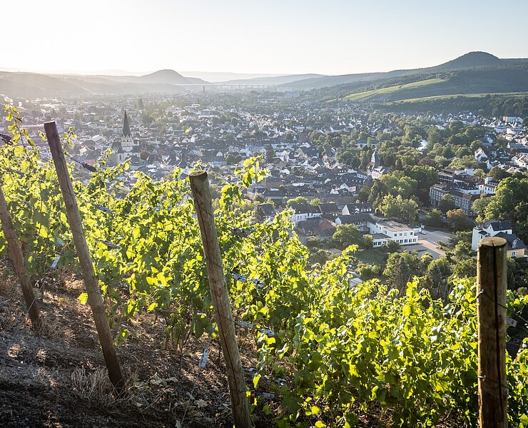 Weinberge Ahrweiler