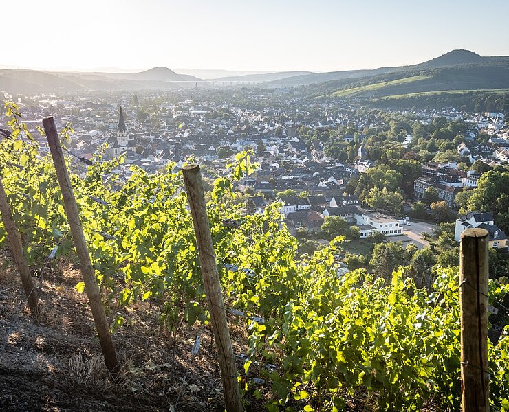 Weinberge Ahrweiler