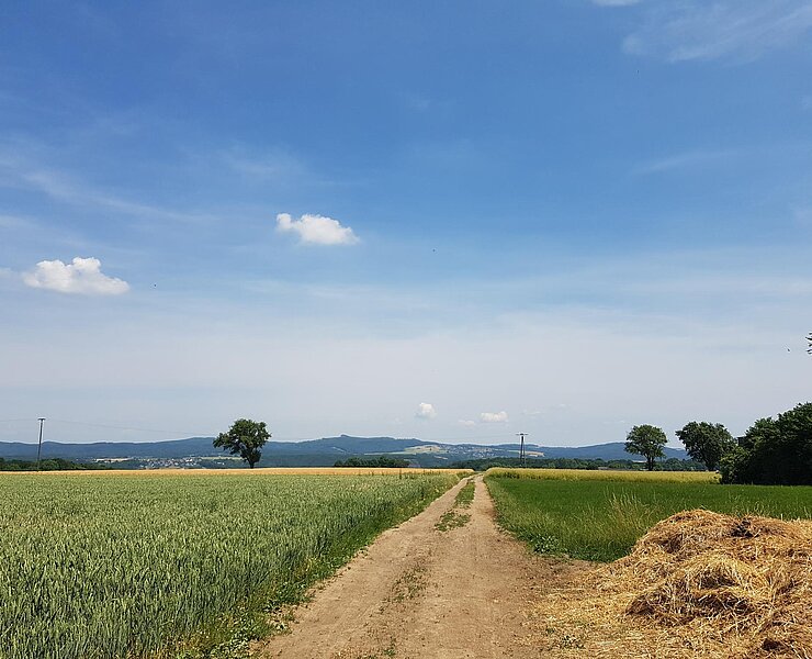 Foto von Prädikats-Kurztour / Prädikats-Rundtour: Apollinaris-Schleife  • Romantischer Rhein (22.06.2017 11:00:17 #1)