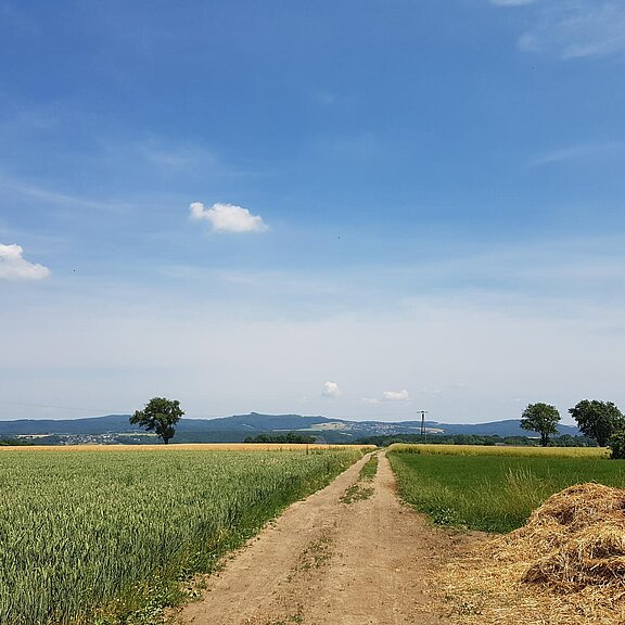 Foto von Prädikats-Kurztour / Prädikats-Rundtour: Apollinaris-Schleife  • Romantischer Rhein (22.06.2017 11:00:17 #1)