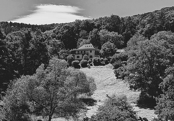 Historisches Haus "Der Tote vom Maibachtal" in Bad Neuenahr-Ahrweiler umgeben von Wald und Wiesen.