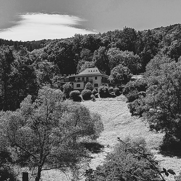 Historisches Haus "Der Tote vom Maibachtal" in Bad Neuenahr-Ahrweiler umgeben von Wald und Wiesen.