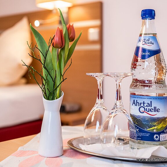 15-Aparthotel am Kurpark-2020-021