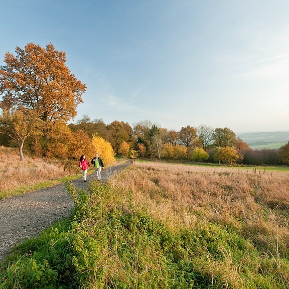 Auf dem Weg nach Aremberg