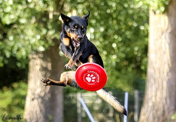 Lisa Metternich, Maren Dönhoff, Mitchell Orr