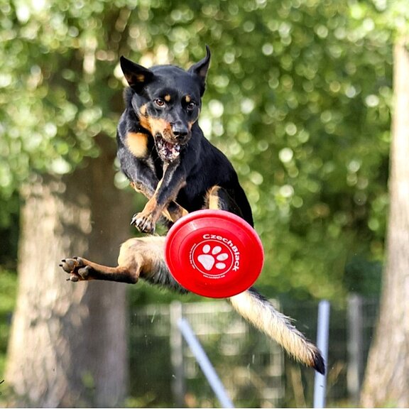 Lisa Metternich, Maren Dönhoff, Mitchell Orr