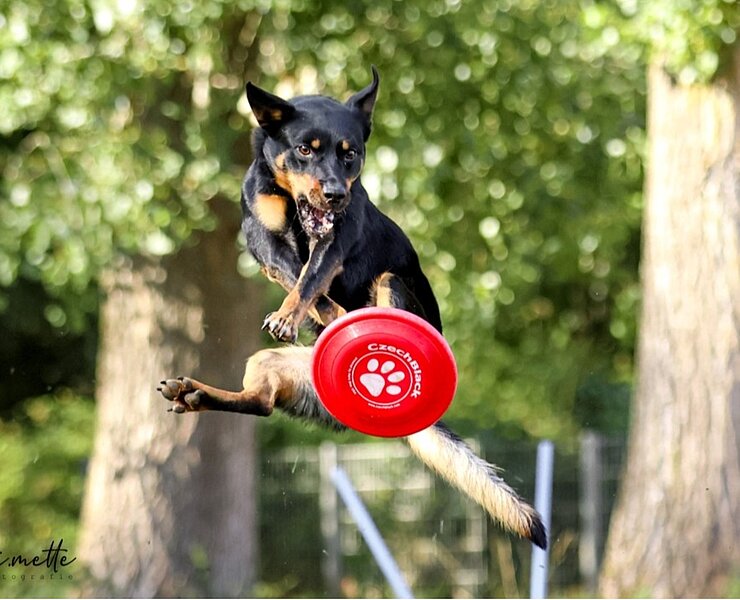 Lisa Metternich, Maren Dönhoff, Mitchell Orr