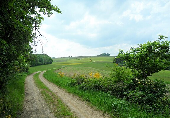 Unterwegs auf dem Rundwanderweg Nr. 5