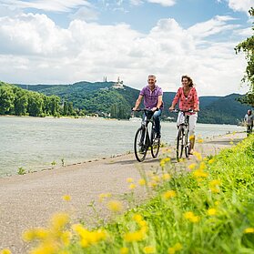 Rheinradweg mit Marksburg im Hintergrund