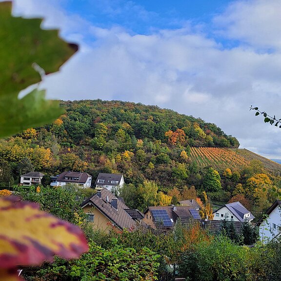 Herbst Blick auf den Koppen