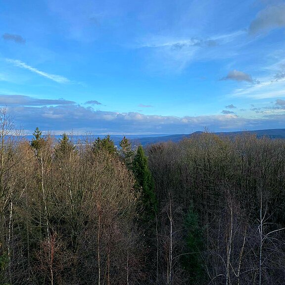 EVA-Turm, Ahrweiler, Ahrtal, Eifelverein, Bad Neuenahr-Ahrweiler, wandern