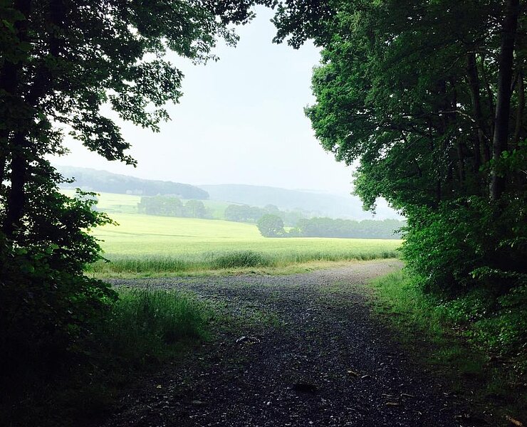 Sonntag, 5. Juni 2016, 14:38 Uhr