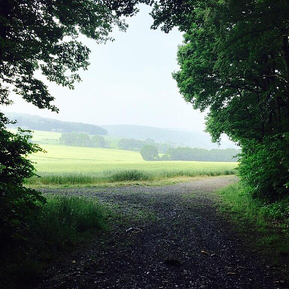 Sonntag, 5. Juni 2016, 14:38 Uhr