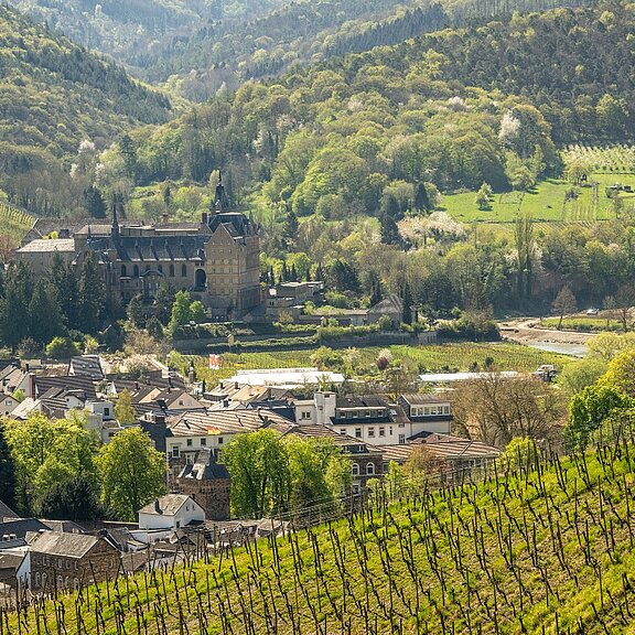 Kloster Kalvarienberg